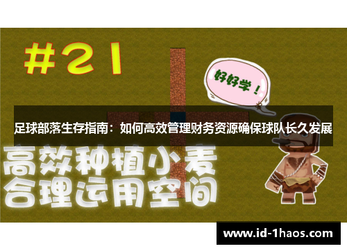 足球部落生存指南：如何高效管理财务资源确保球队长久发展