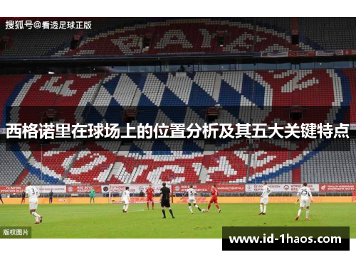 西格诺里在球场上的位置分析及其五大关键特点